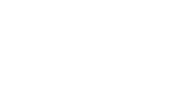 D&IAudioSinFondBlanco-1